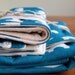 Organic Baby Blanket and Set of 2 Burp Cloths, Ellie, LAST SET