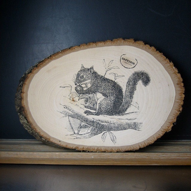Squirrel Wall Plaque