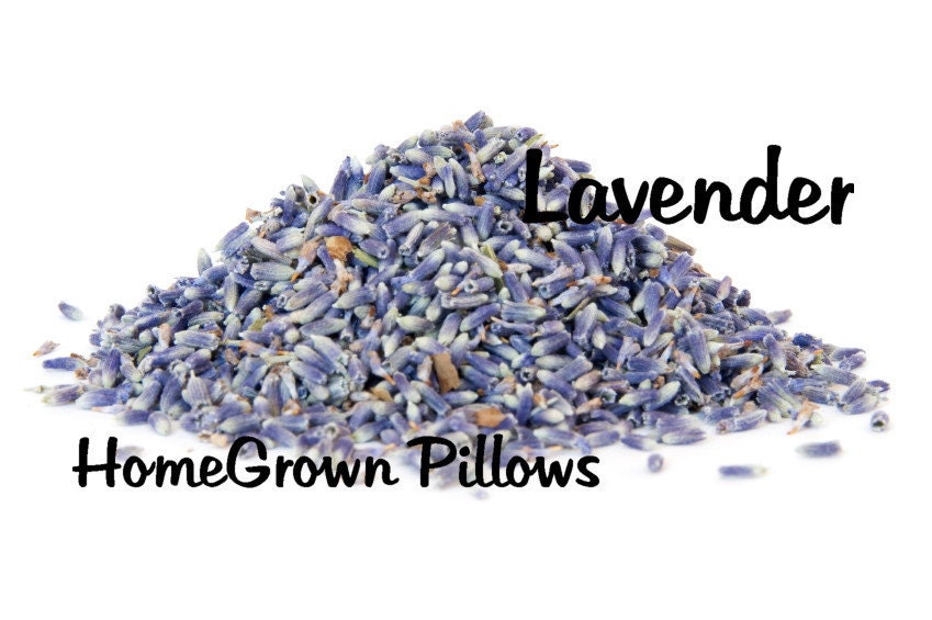 Dried Lavender, Culinary Use, Sachets, Dream Pillows, Linens , Potpourri - 1 Pound