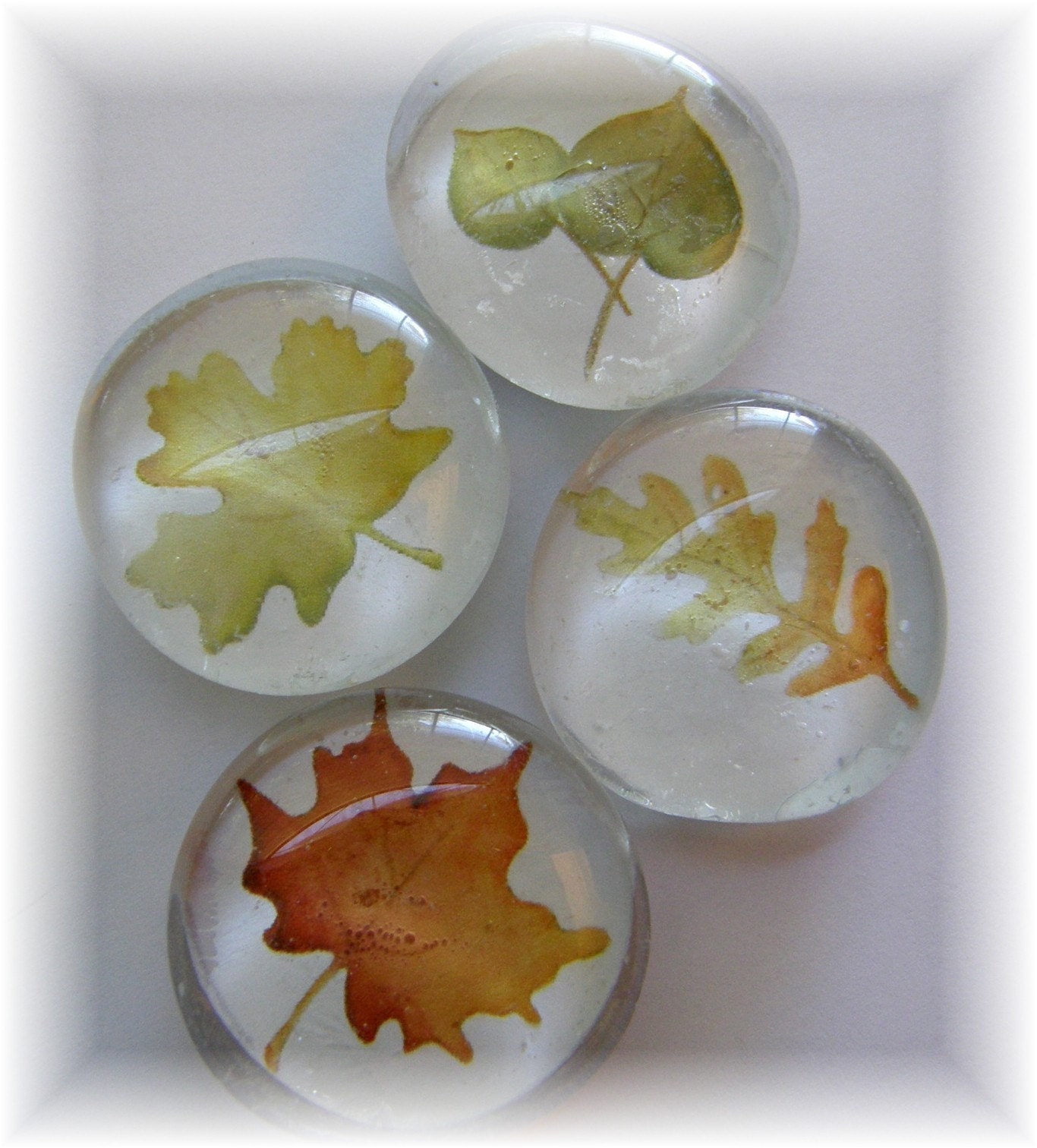 glass marble magnets -fall leaves - set of 4
