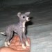 Needle Felted Dog / Custom Miniature Sculpture of your pet / cute / poseable