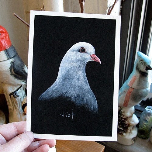 white dove (idiot)