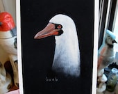 masked booby (boob)