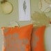 Orange Pillow with Astera Print