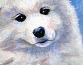 Look At That Face Original aceo