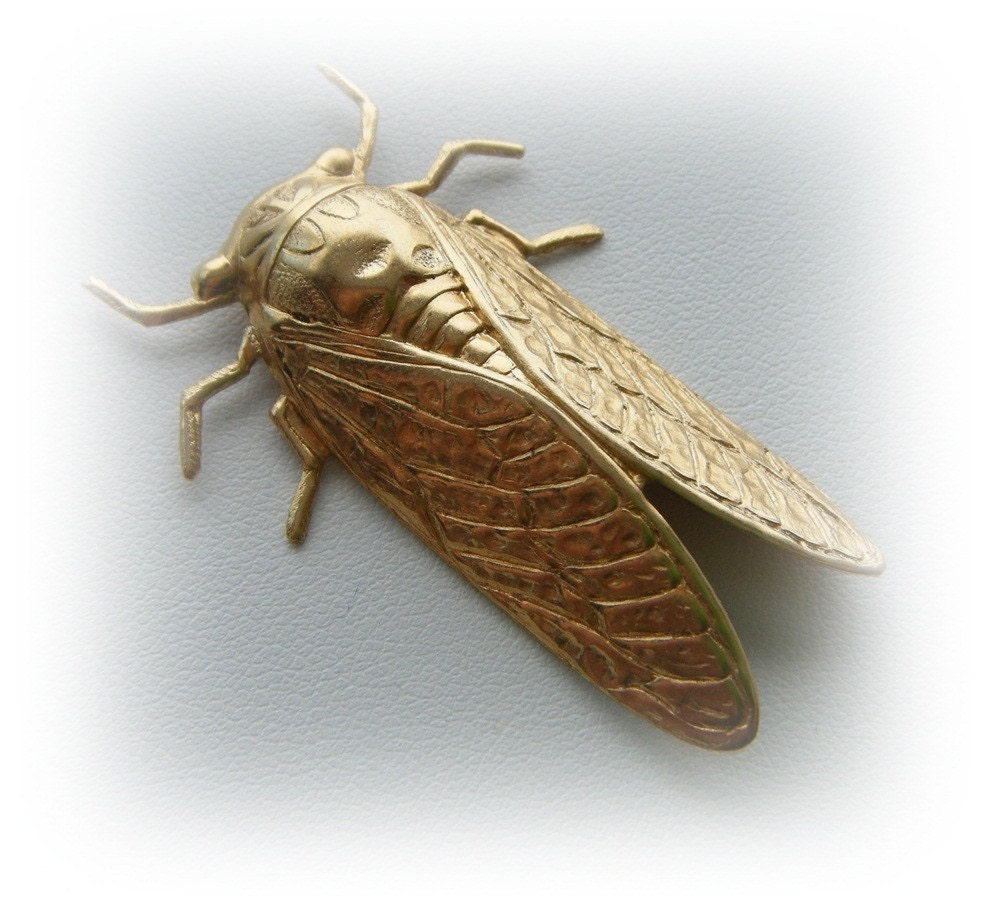 2 Pc Brass CICADA Jewelry Findings (BF)