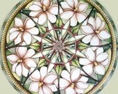 Magnolia Mandala