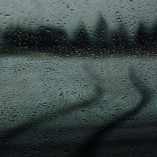 Surreal Landscape Photograph - Winding, 8x8, Dark, Haunting, Tree Silhouettes, Raindrops