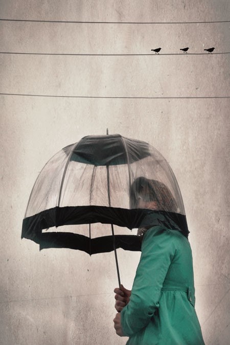 Three Birds - 4x6 Photograph - umbrella portrait whimsical -  soft grey mint green - ellemoss