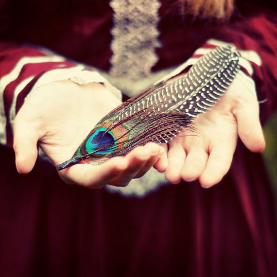 SALE Feather Photograph, 8x8 Print, Woodland Photo, Hands, Nature Portrait, Burgundy Color, Peacock Feather - ellemoss SALE Feather Photograph, 8x8 Print, Woodland Photo, Hands, Nature Portrait, Burgundy Color, Peacock Feather - ellemoss