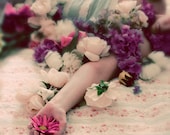 Flower Portrait, 5x5 Photography,  Offering, Dreamy Pink Purple Flowers Print - ellemoss
