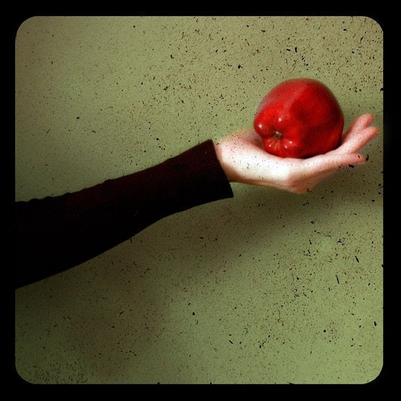 Red Apple Ttv Photograph, Apple 5x5 Print, Whimsical Fairytale Portrait