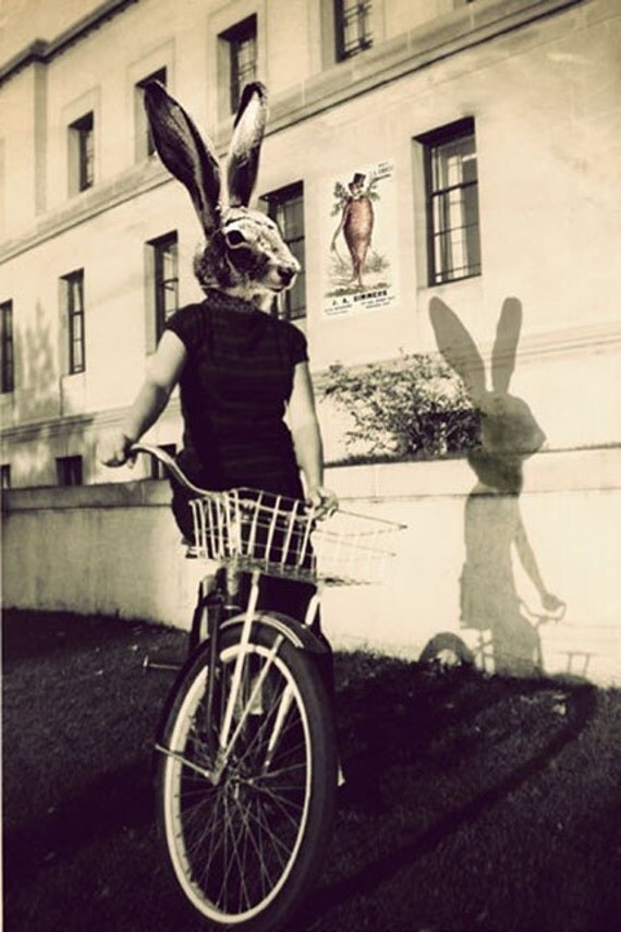 Photo Collage,  Bunny on Bicycle, 4x6 Rabbit Head, Bicycle Photograph, Monochromatic Fine Art Print