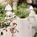 Cottage Fence Photograph, 8x10 Print, Shabby Chic Photo, White Fence, Charming Home Decor, Spring Garden, Nature Photography