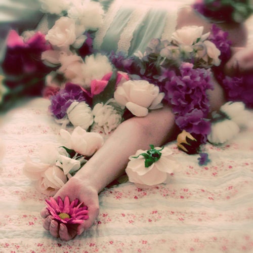 Flower Portrait, 5x5 Photography,  Offering, Dreamy Pink Purple Flowers Print