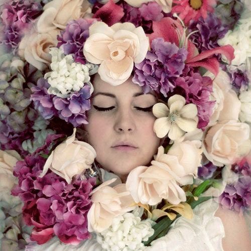 Flower Portrait,  Dans le Jardin, 8x8 Photograph, Pastel Flowers Photo, Pink, Purple, Floral Portrait Print