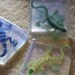 Lizards and Snakes Soaps 20 soaps Reptile Party soaps