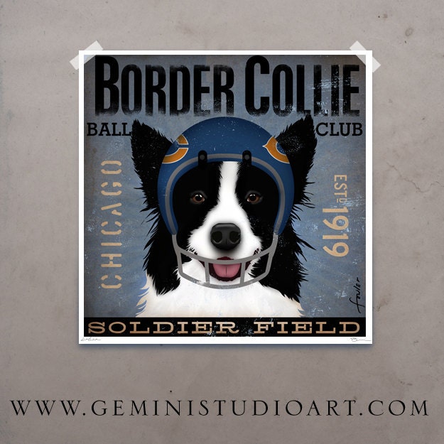 Border Collie football club Chicago graphic art giclee archival print original illustration 12 x 12 by stephen fowler