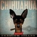 custom chihuahua boston theme 20 x 20 x 1.5 canvas