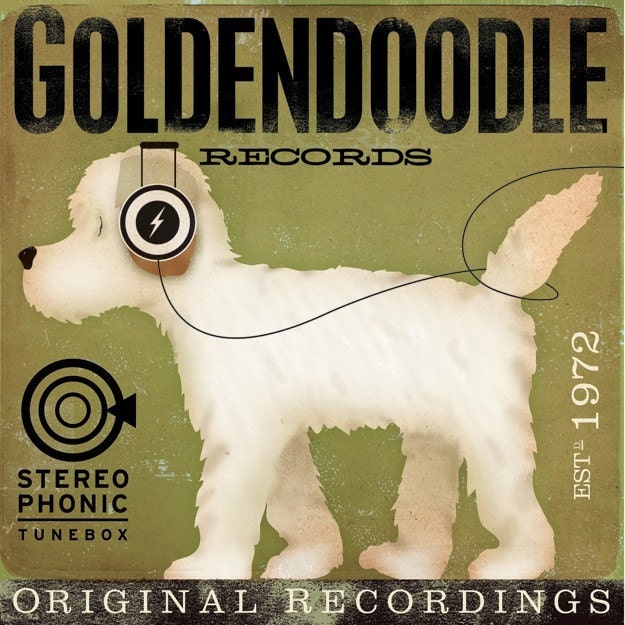 Goldendoodle Records original illustration graphic art  on canvas 12 x 12 x 1.5 by stephen fowler