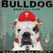 Bulldog Baseball Club Phillies original illustration graphic artwork on canvas by gemini studio 12 x 12