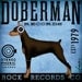 Doberman Records hard rock records company original illustration on canvas 12 x 12 by stephen fowler
