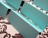 Tiffany Blue Placecards - Set of 20