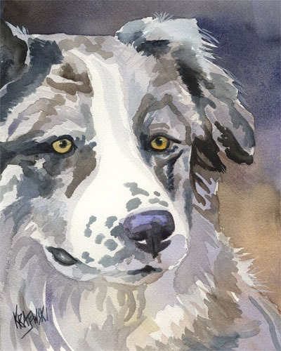 Australian Shepherd Art Print of Original Watercolor Painting - 8x10