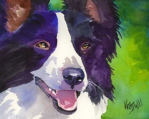 Border Collie Art Print of Original Watercolor Painting - 8x10 Dog Art - dogartstudio