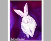 White Bunny Rabbit - Pack of 5 Note Cards with White Envelopes - Ranlett - A4C