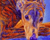 Greyhound Dog Brindle - Signed Repro Print - Matted to 8 x 10 - Ranlett A4C