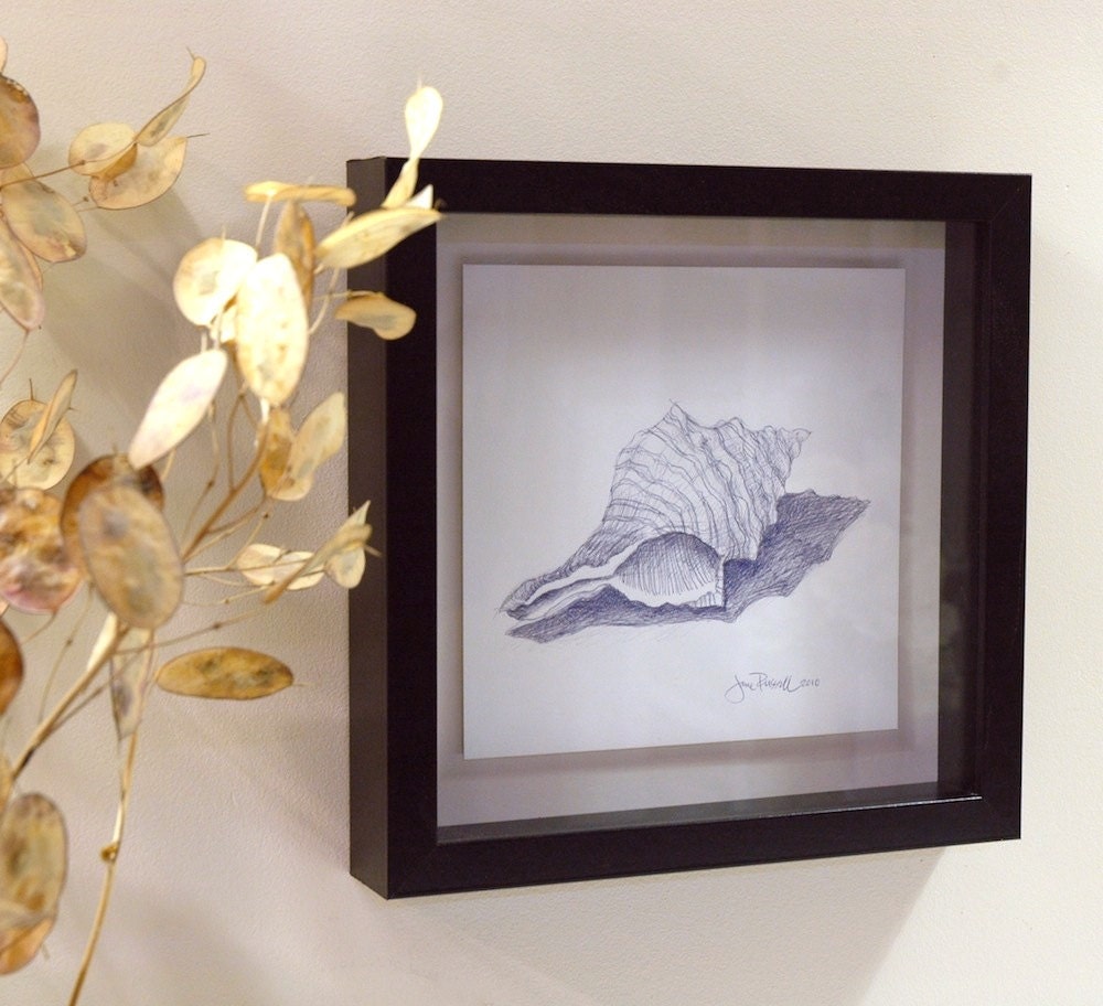 Horse Conch Shell no. 2 Framed Original Drawing Free Shipping