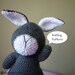 Maxine the rabbit
