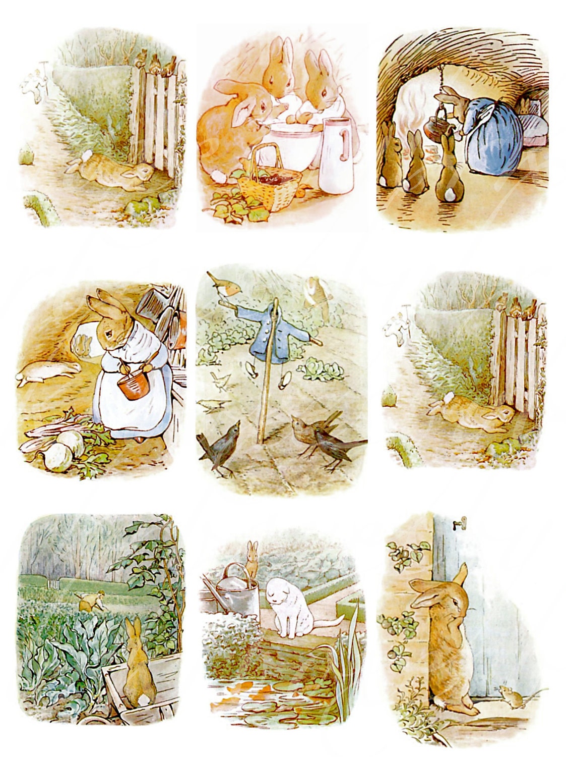 24 Peter Rabbit Images Beatrix Potter Printable By Boxesbybrkr