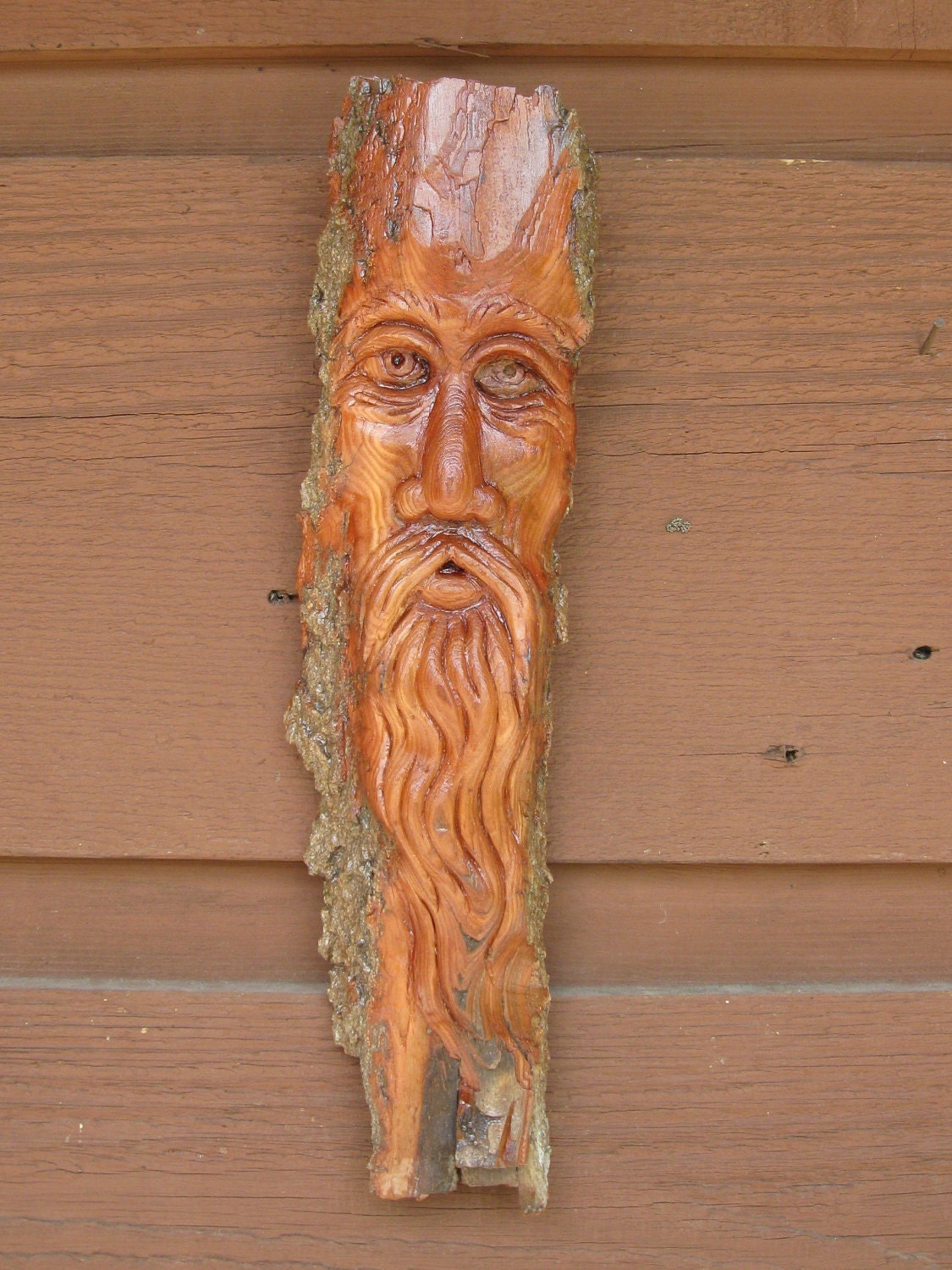 Reserved for Laura K. NEW Merlin in the Woods cottonwood bark carving