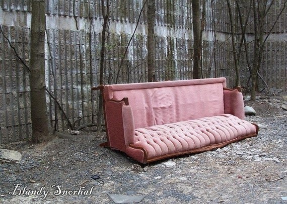 Discarded Beauty