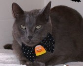 Halloween Bow Tie Happy Candy Corn  Pet Fashion NeckWear Collar Accessory - BLACK w/WHITE POLKA DOTS