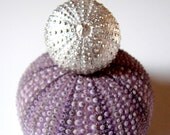 Sea urchin sterling silver ring