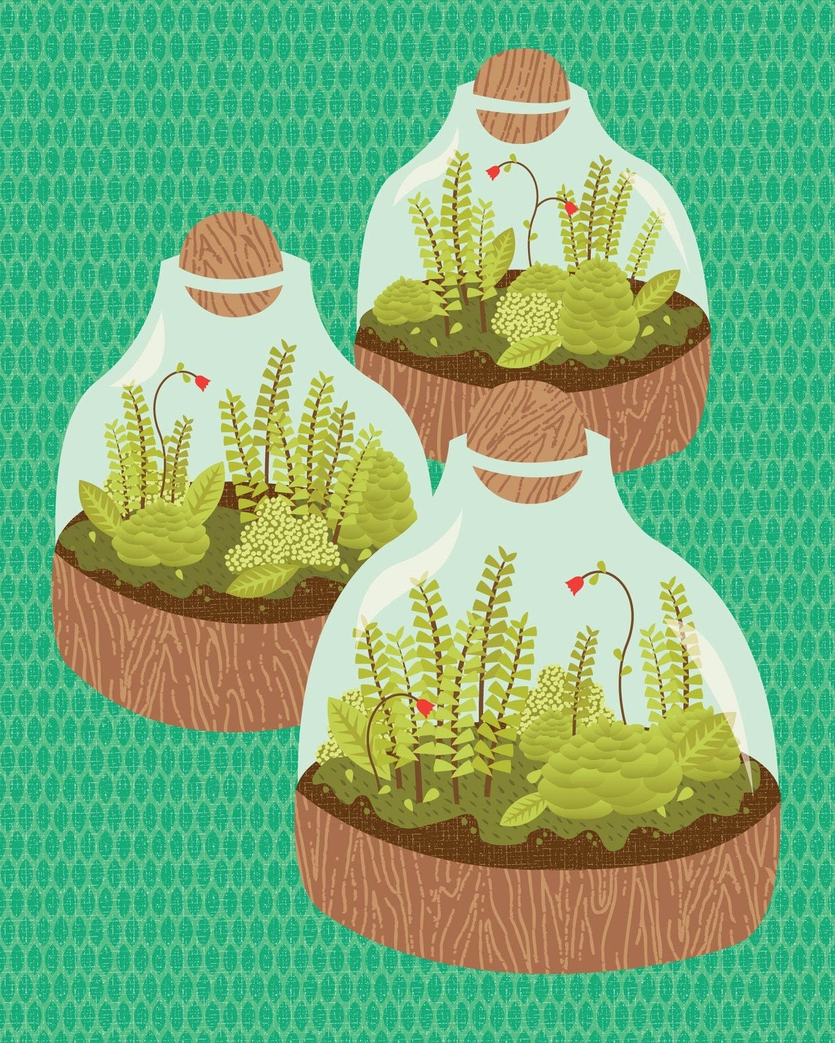 terrariums print 8x10