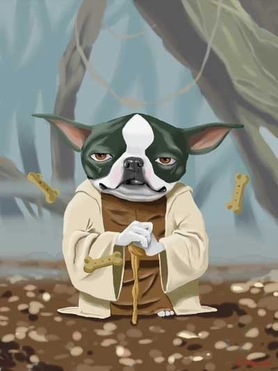 Yoda Terrier - Boston terrier Dog Art Print