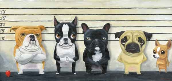 The Line Up - Boston Terrier dog art print