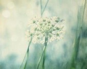 Original fine art dreamy nature photograph - Saturday morning