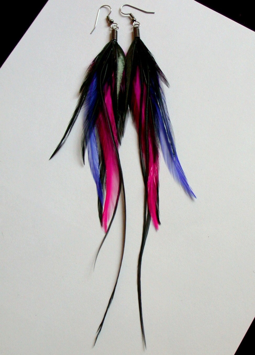 tropical feathers