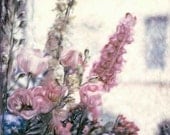 Flower Polaroid - Spring Flowers in Stockholm - Signed Fine Art Photograph