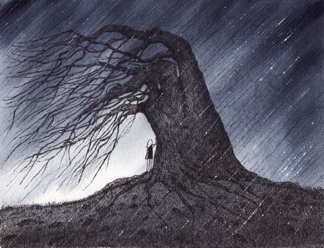Sophia SHELTER print