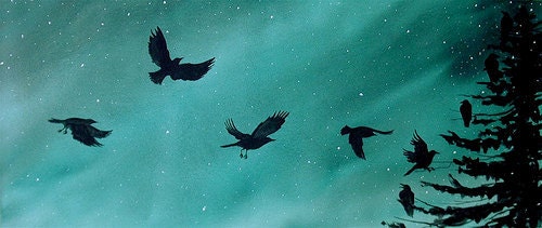 northern light crows PRINT