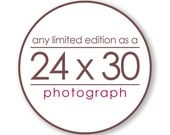 Any Limited Edition Landscape Photograph as a 24x30 inch Print - Custom size great for the living room and bedroom
