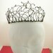 Black Swan Tiara - without crystals, customizable