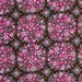 Crazy Love Fabric by Jennifer Paganelli for Free Spirit, Victoria in Brown-Fat Quarter
