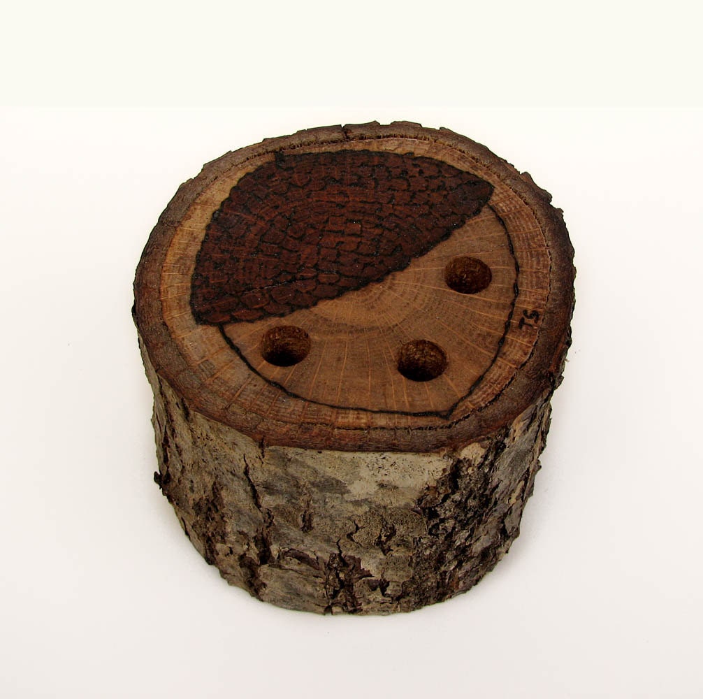 Quercus 1980 Branch No2: Rustic Natural Oak Wood Pencil Holder With Acorn Top by Tanja Sova